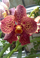 29102010036001.jpg