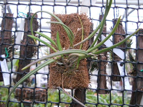 DSCN127802.jpg