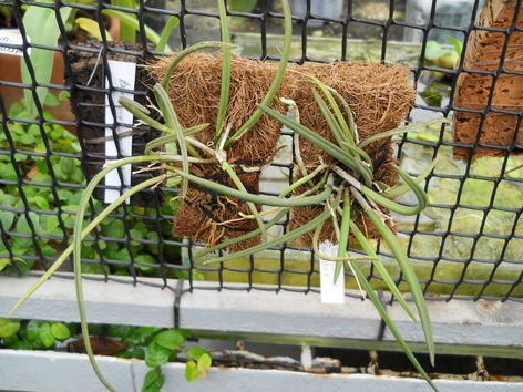 DSCN131501.jpg
