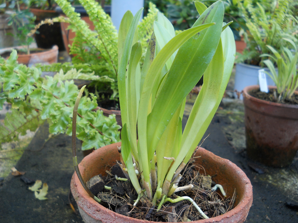 DSCN133304.jpg