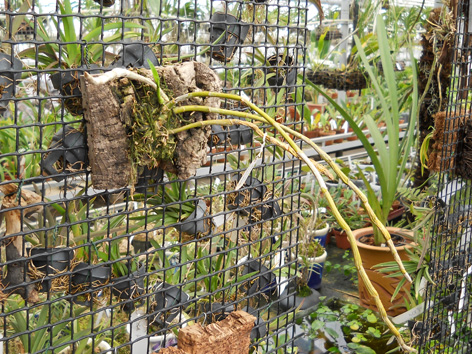 DSCN134302.jpg