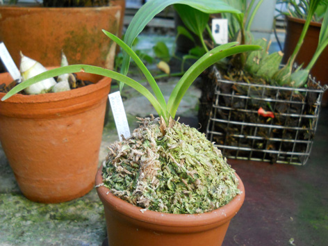 DSCN135401.jpg