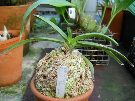 DSCN135502.jpg