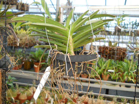 DSCN135904.jpg