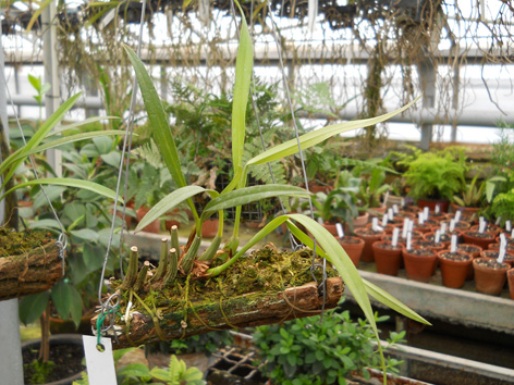 DSCN137701.jpg