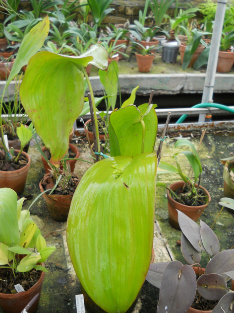 DSCN138202.jpg