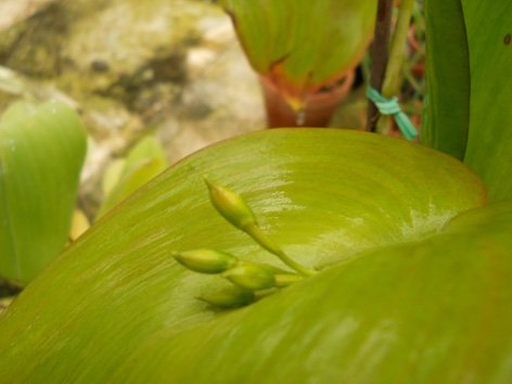 DSCN138303.jpg