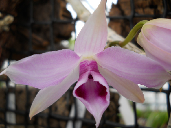 DSCN138803.jpg