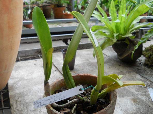 DSCN139202.jpg