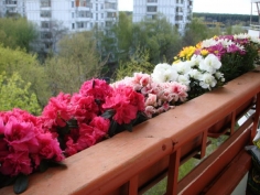 balcony1.jpg