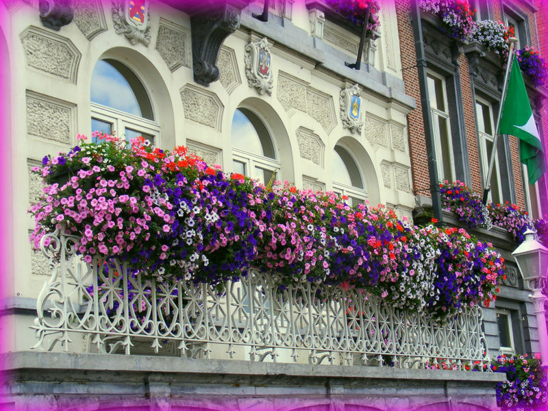 800px-Flower-Balcony_Sophiea.jpg