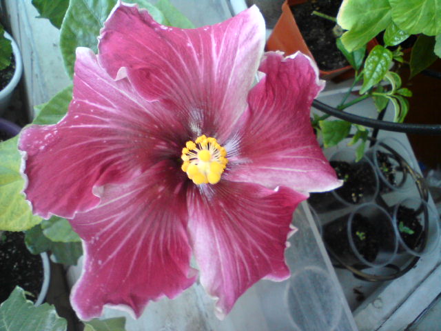 DSC03094.JPG