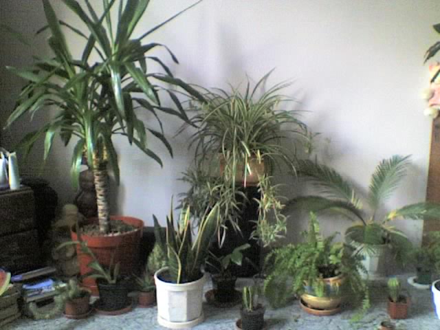 12-10-06_0949.jpg