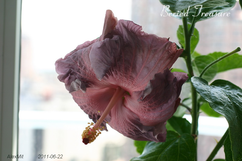 CRW_2328_RJs.JPG