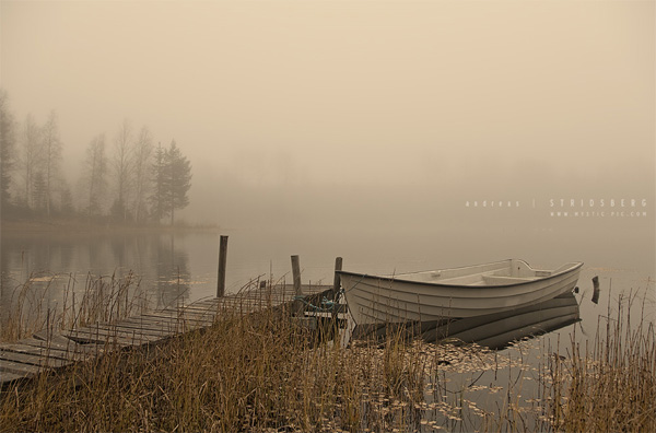 foggy-photography-20.jpg
