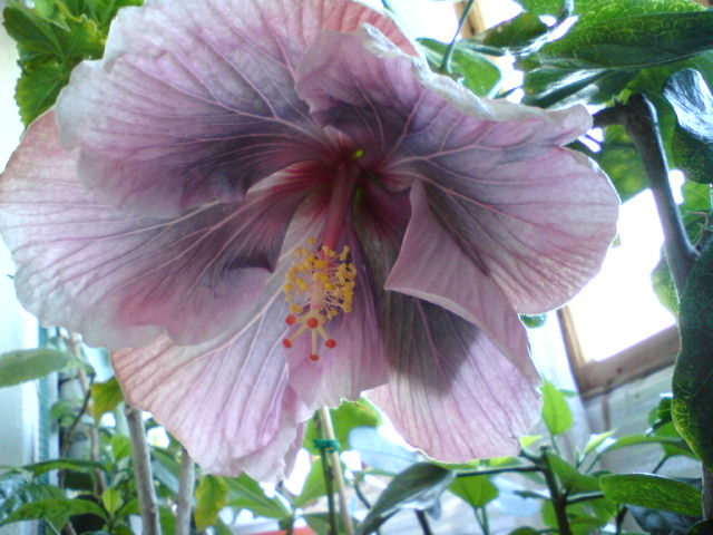 DSC04163.JPG
