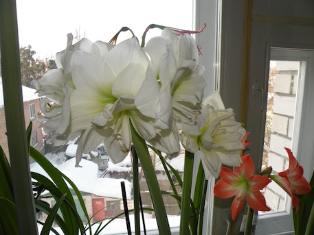 DSCN8235.jpg