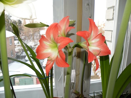 DSCN8233.jpg