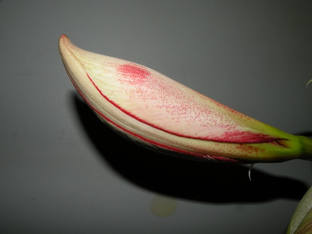 DSCN8277.jpg