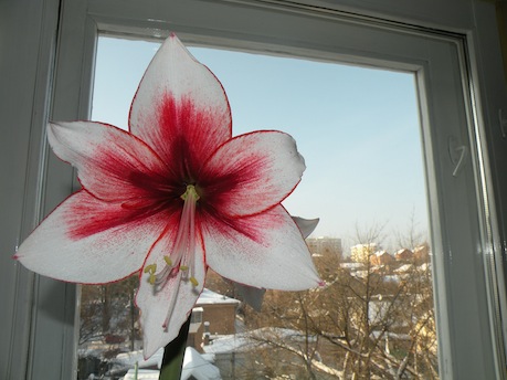 DSCN8309.jpg
