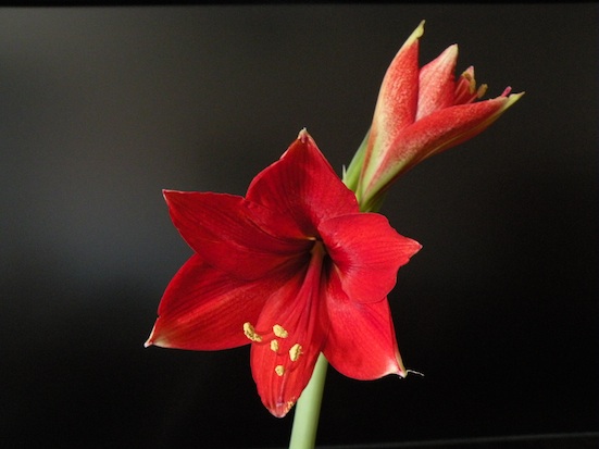 DSCN8361.jpg