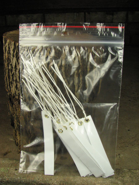 Birki.jpg