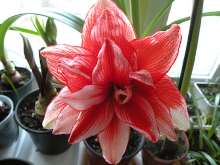 DSCN8420.jpg