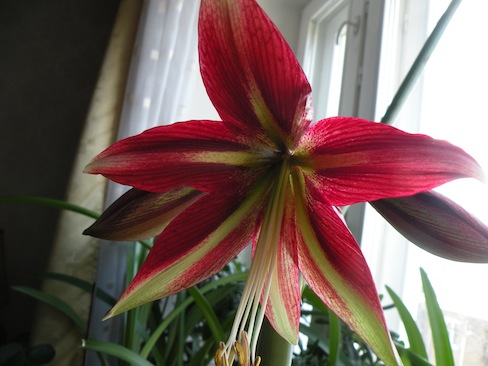 DSCN8520.jpg